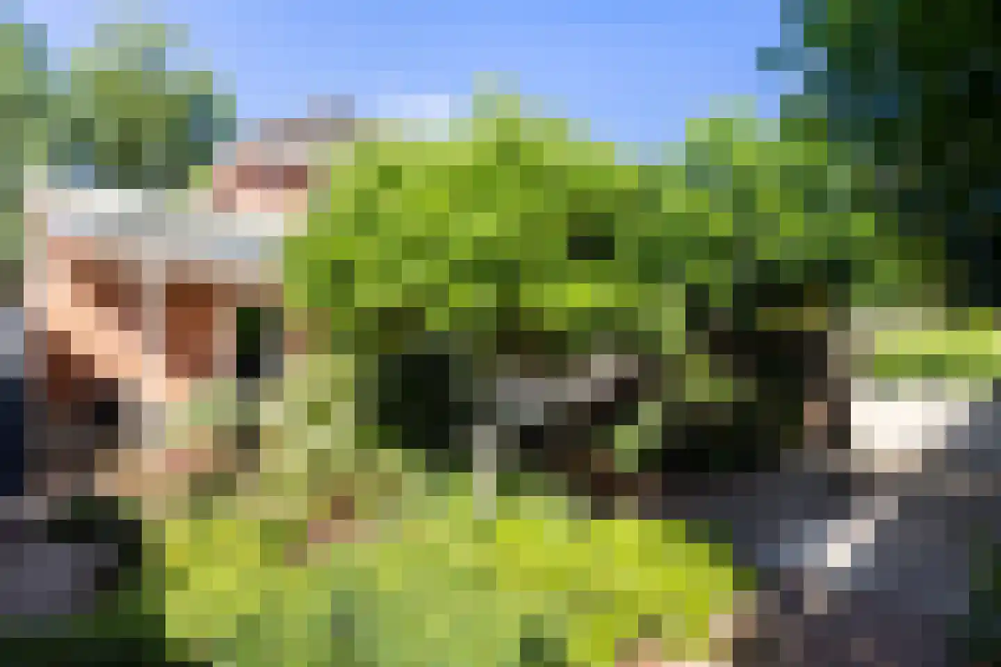 De Zomereik 23 Apeldoorn thumbnail 34