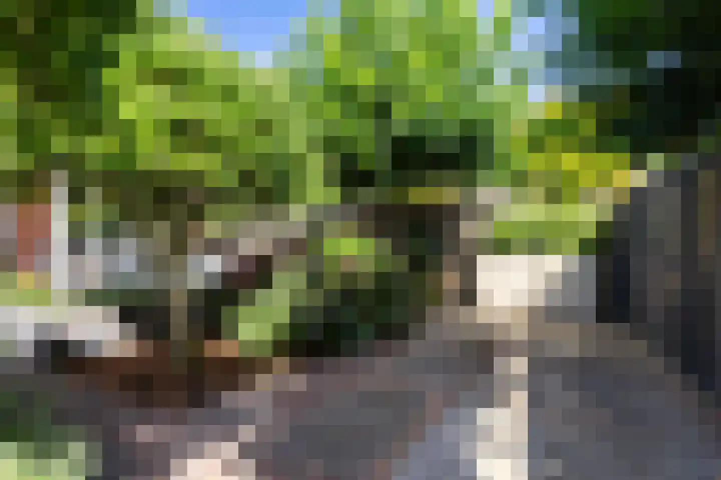 De Zomereik 23 Apeldoorn thumbnail 36