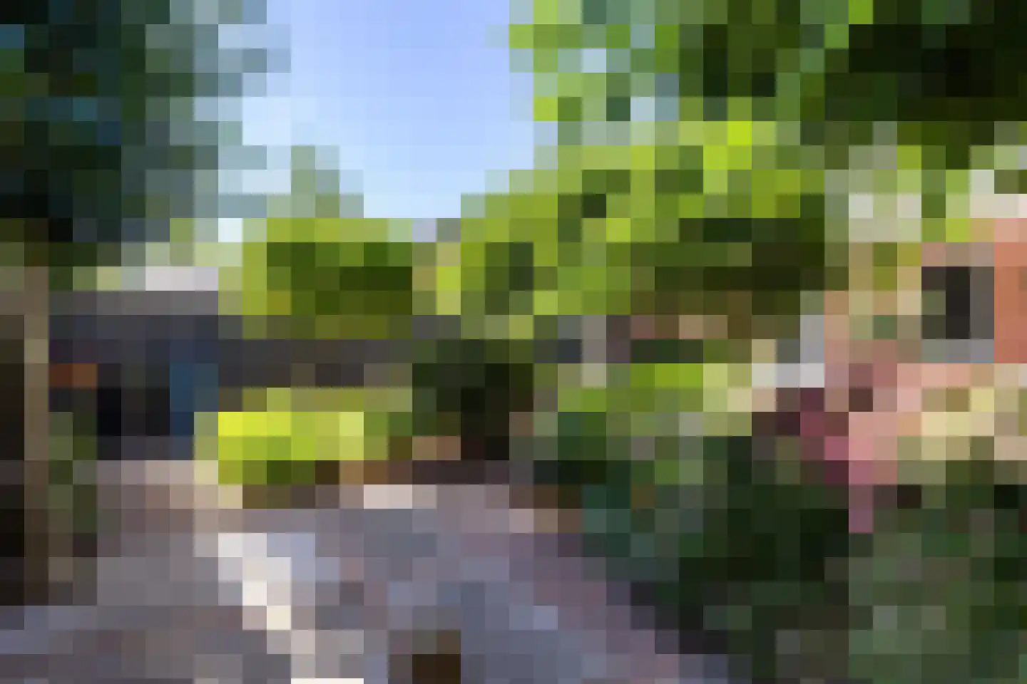 De Zomereik 23 Apeldoorn thumbnail 37