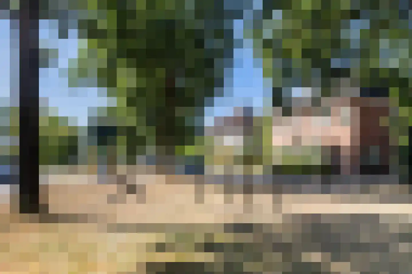 De Zomereik 23 Apeldoorn thumbnail 44