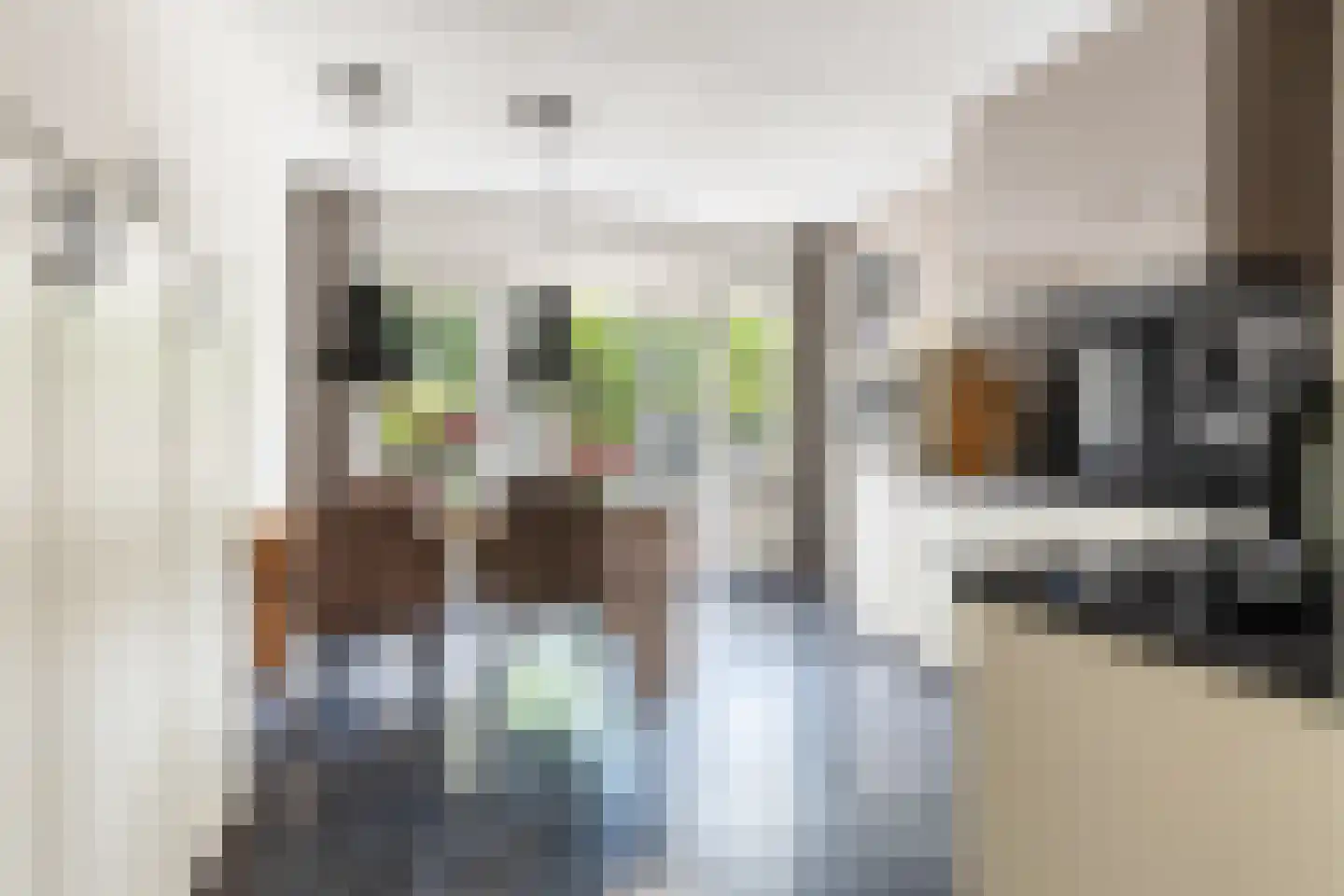 De Zomereik 23 Apeldoorn thumbnail 5
