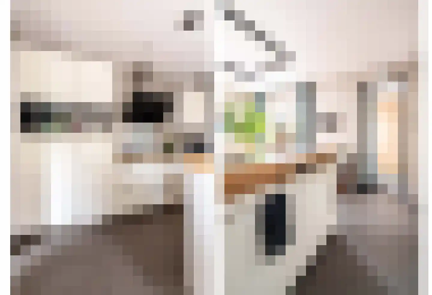 De Zomereik 41 Apeldoorn thumbnail 12