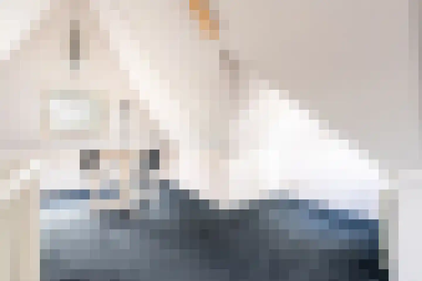 De Zomereik 41 Apeldoorn thumbnail 24