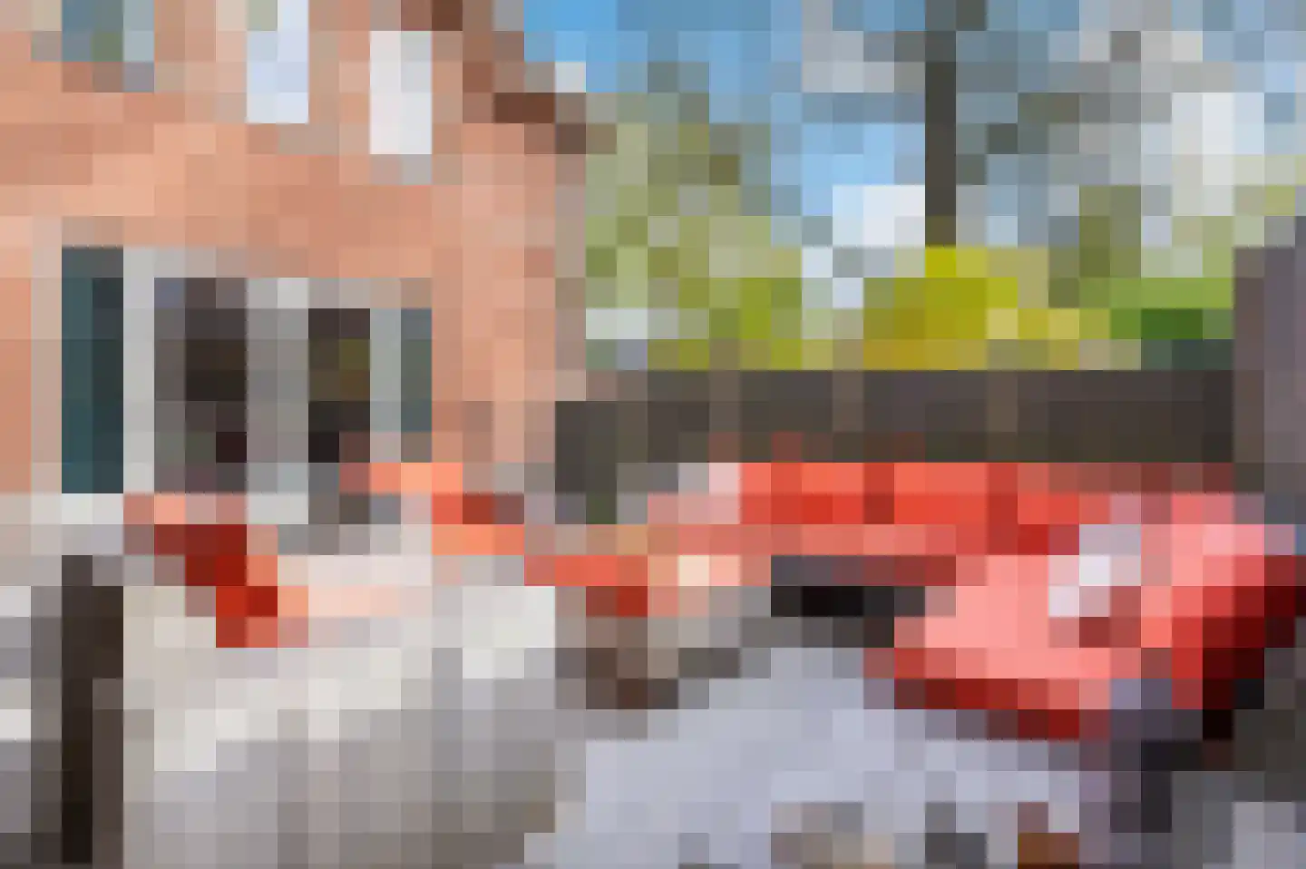 De Zomereik 41 Apeldoorn thumbnail 25