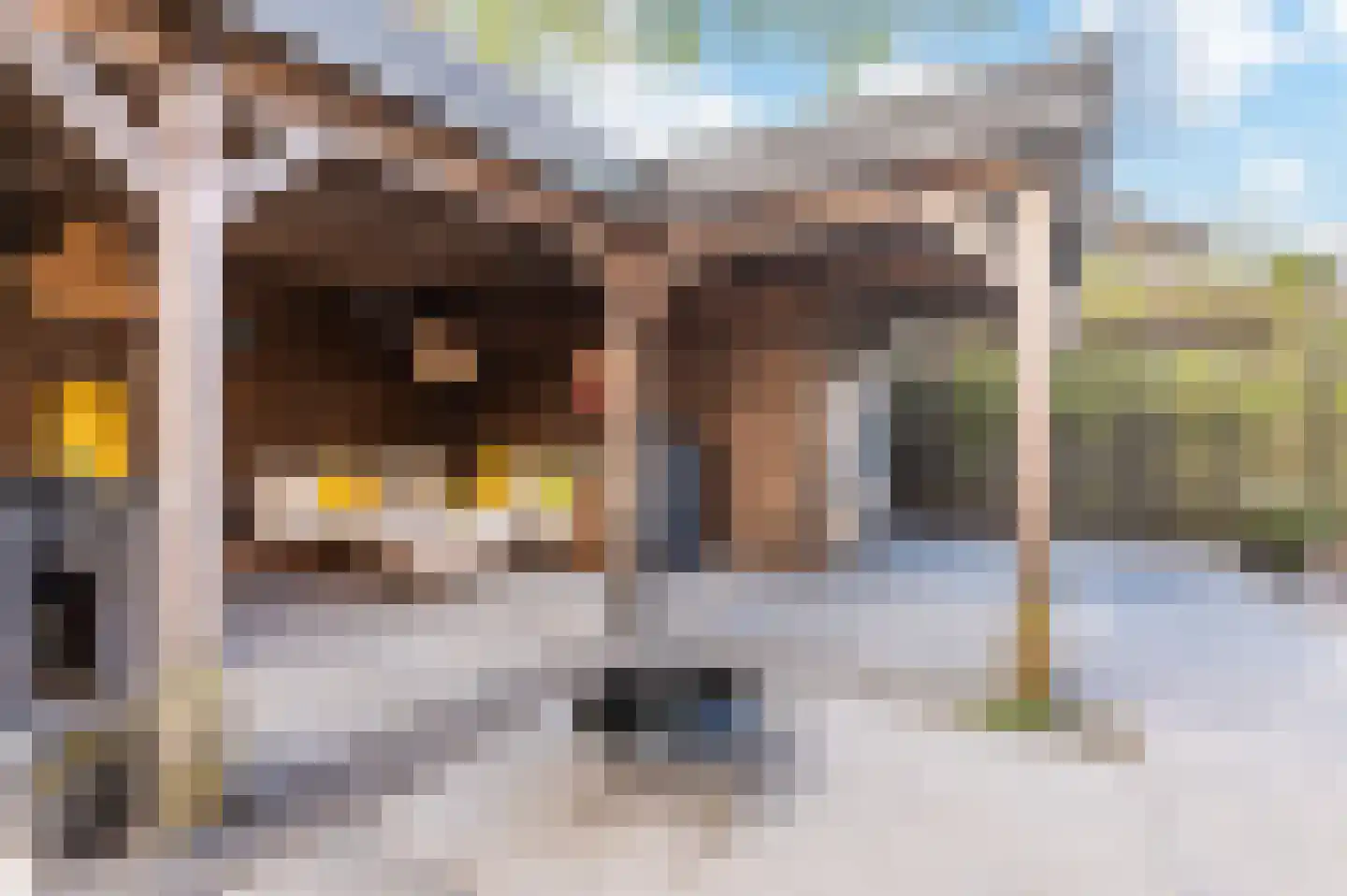 De Zomereik 41 Apeldoorn thumbnail 29