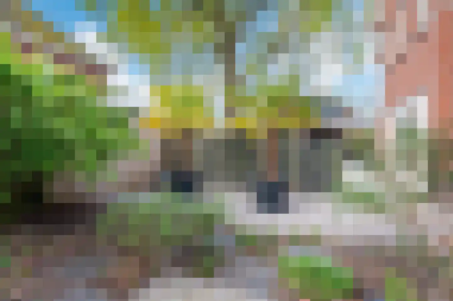 De Zomereik 41 Apeldoorn thumbnail 34