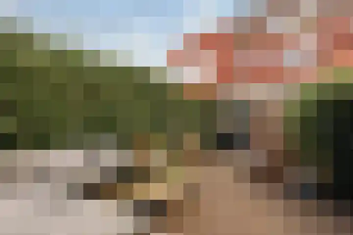 De Zon 16 Amstelveen thumbnail 37