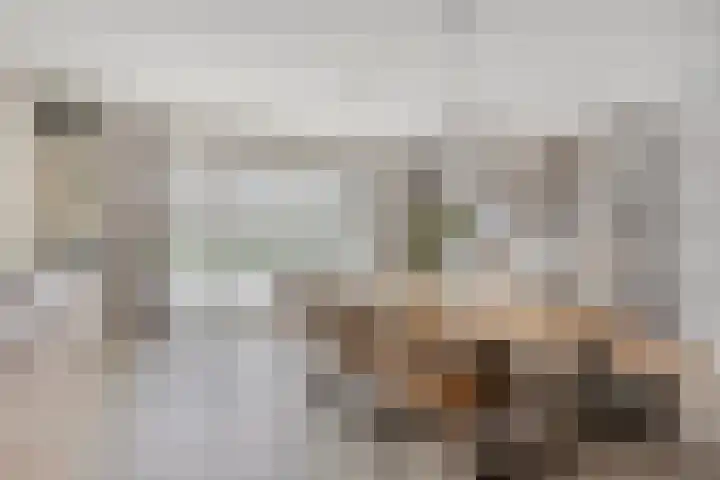 De Zon 35 Tuitjenhorn thumbnail 17