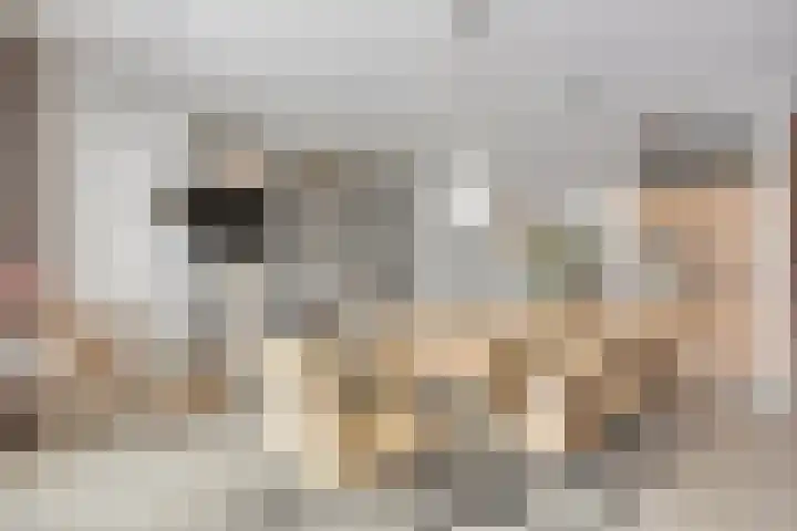 De Zon 35 Tuitjenhorn thumbnail 18