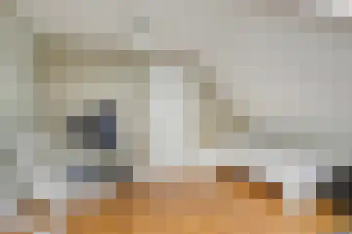 De Zon 35 Tuitjenhorn thumbnail 39