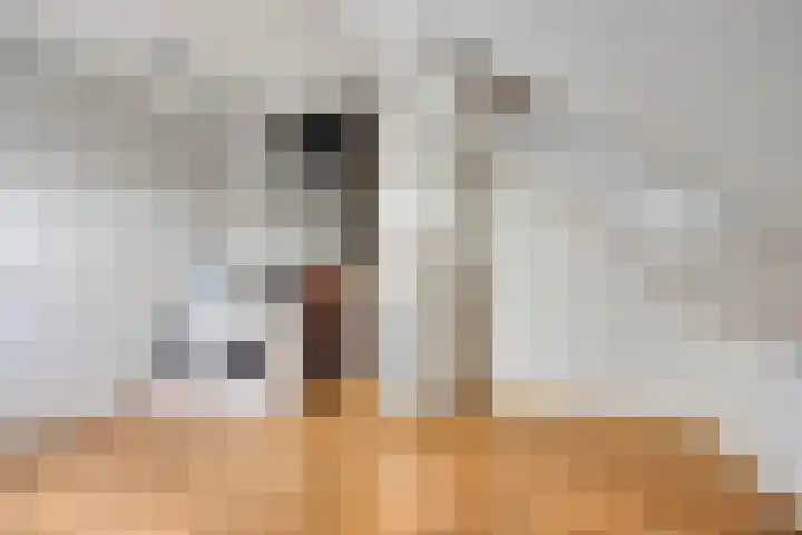 De Zon 35 Tuitjenhorn thumbnail 41
