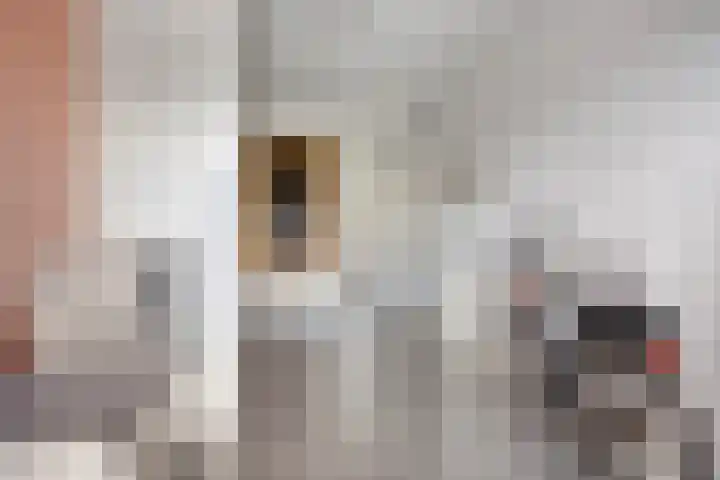 De Zon 35 Tuitjenhorn thumbnail 44