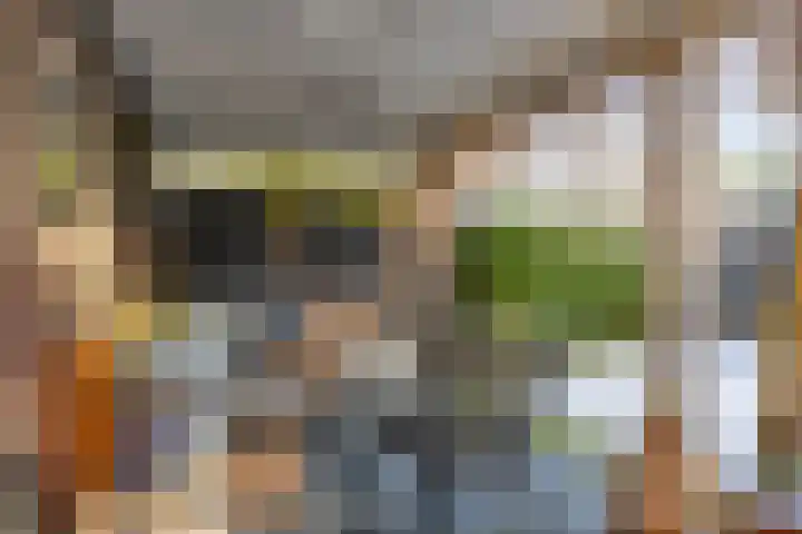 De Zon 35 Tuitjenhorn thumbnail 49