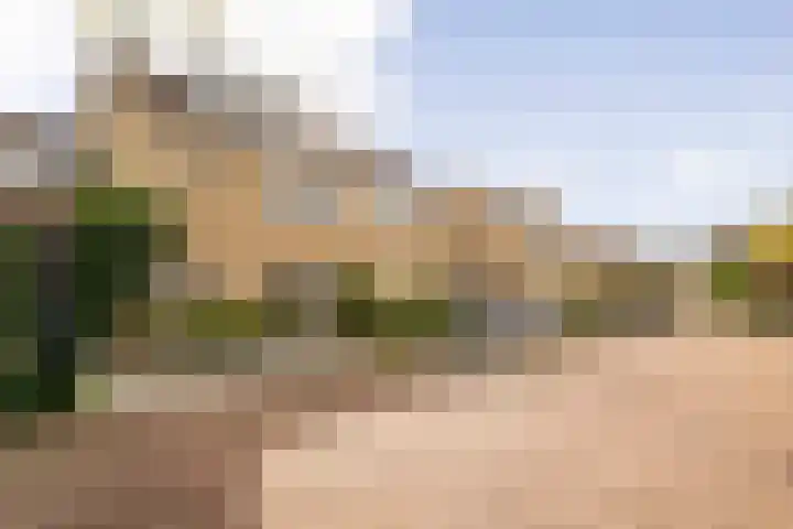 De Zon 40 Amstelveen thumbnail 40
