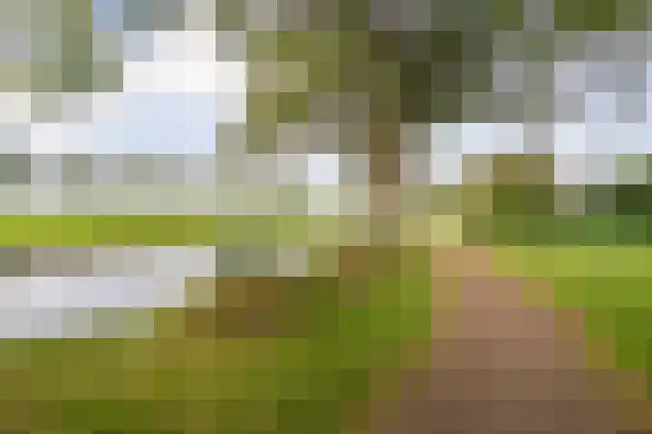 De Zon 40 Amstelveen thumbnail 41