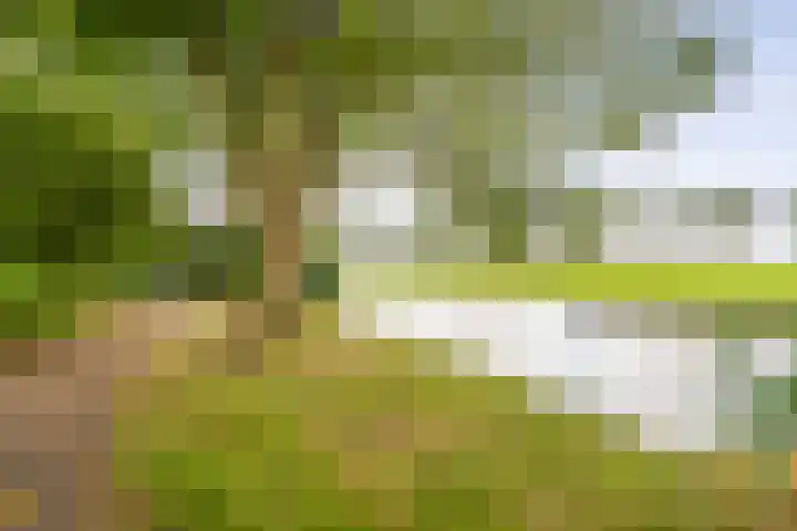De Zon 40 Amstelveen thumbnail 42