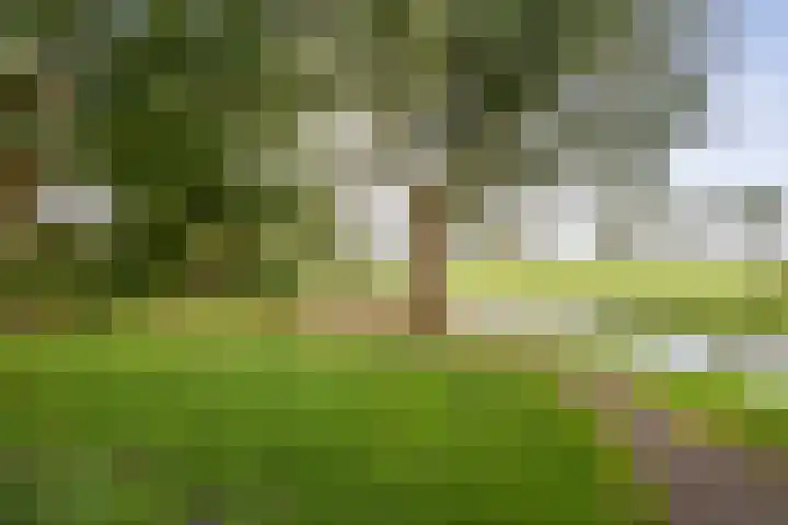 De Zon 40 Amstelveen thumbnail 43