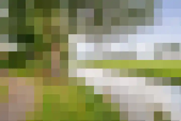 De Zon 40 Amstelveen thumbnail 44