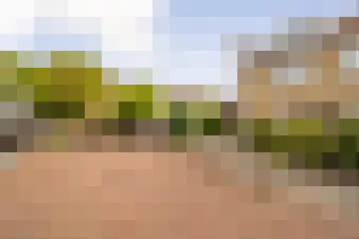 De Zon 40 Amstelveen thumbnail 46