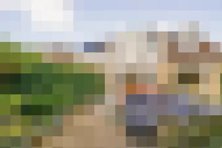 De Zon 40 Amstelveen thumbnail 9