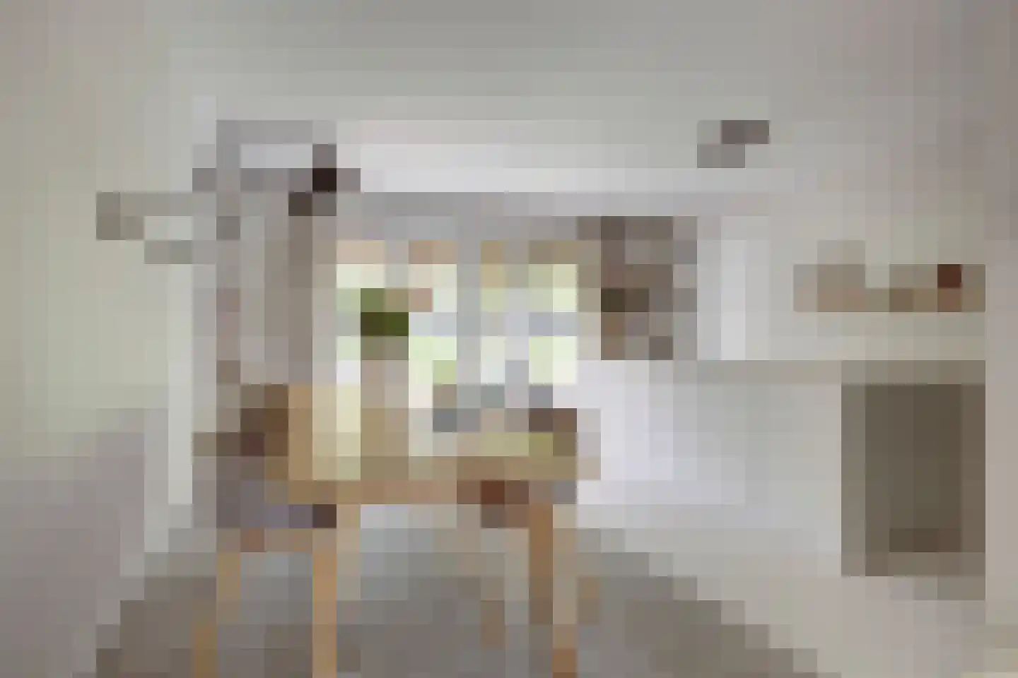 De Zon 41 Tuitjenhorn thumbnail 14