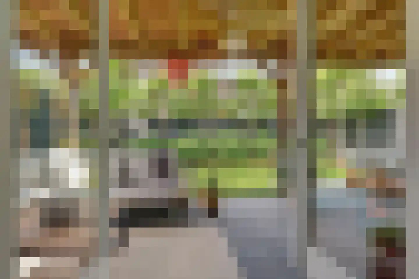 De Zon 41 Tuitjenhorn thumbnail 15