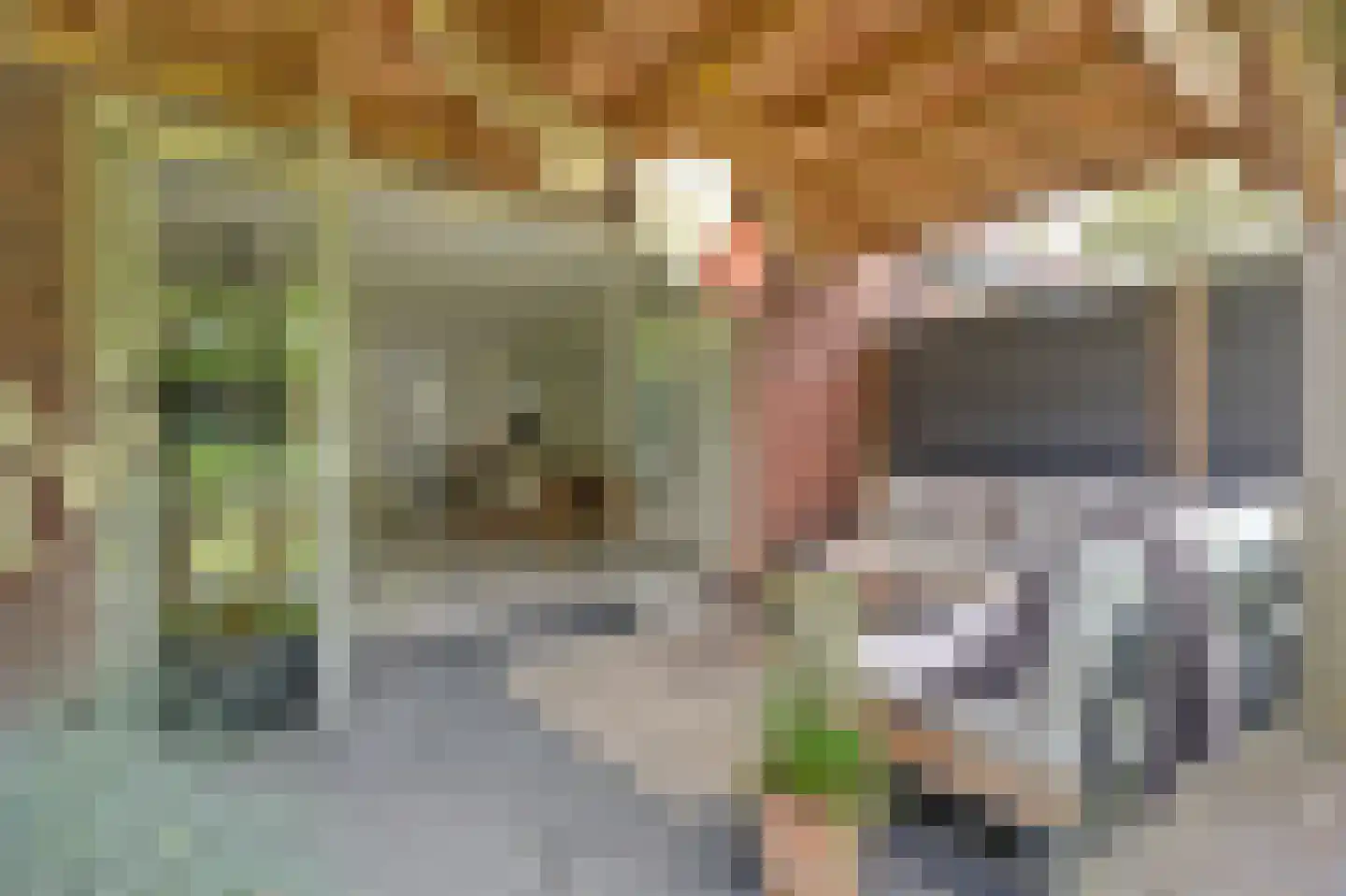 De Zon 41 Tuitjenhorn thumbnail 16