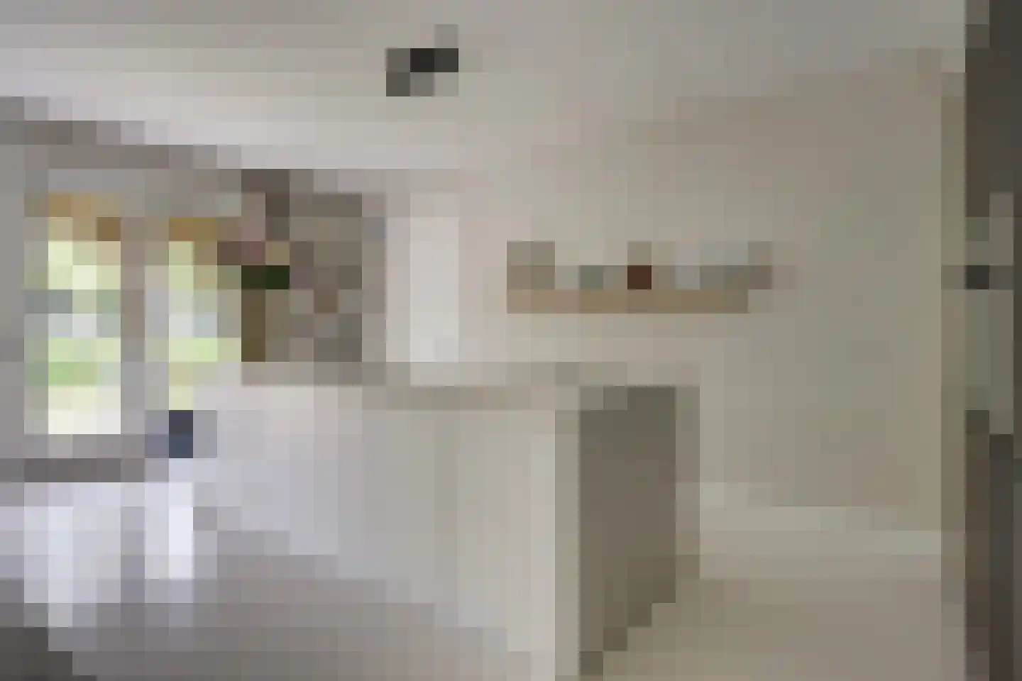 De Zon 41 Tuitjenhorn thumbnail 17