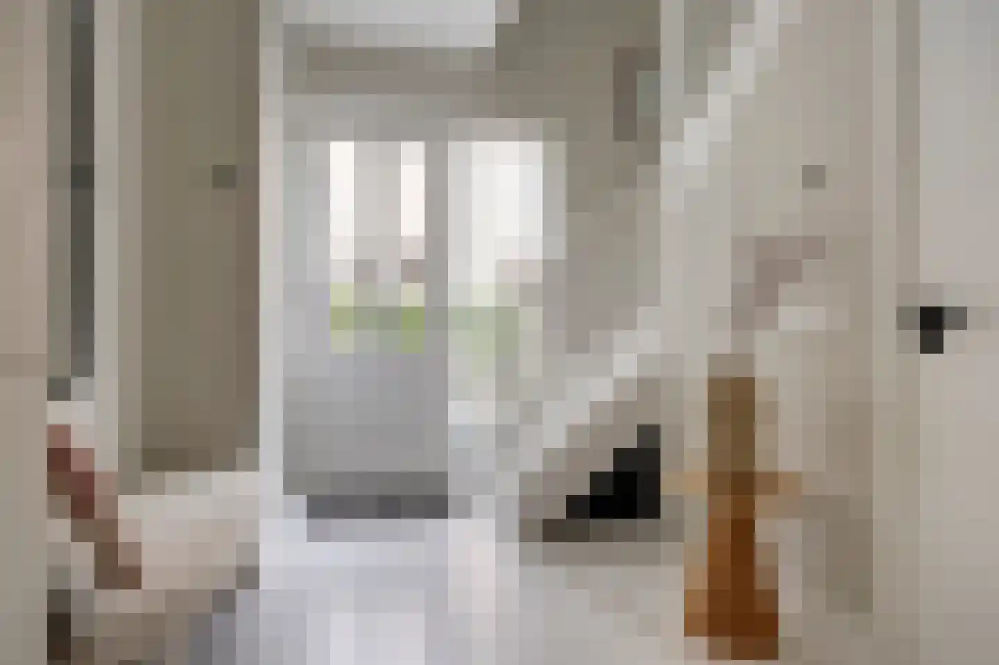 De Zon 41 Tuitjenhorn thumbnail 4