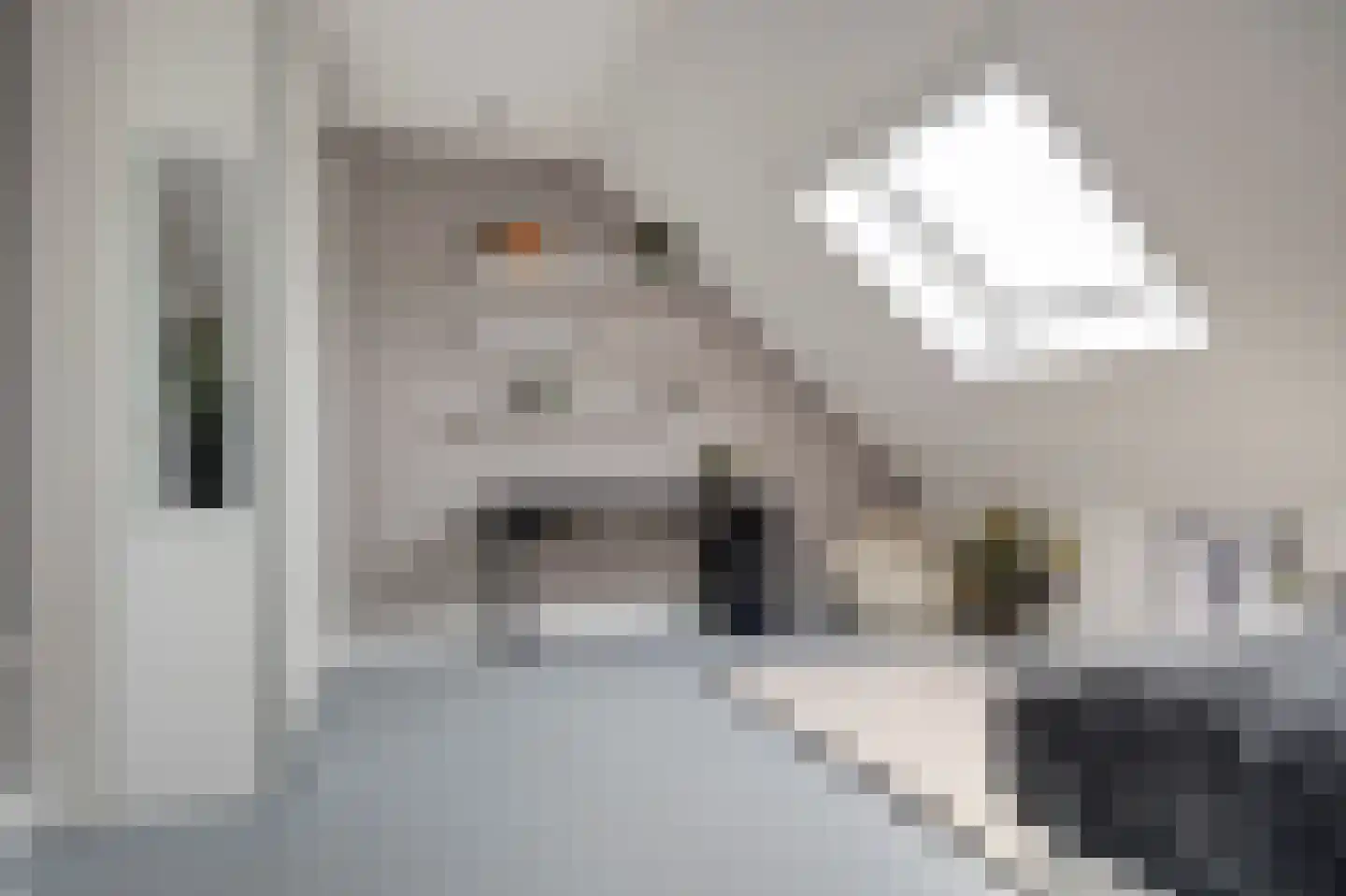 De Zon 41 Tuitjenhorn thumbnail 41