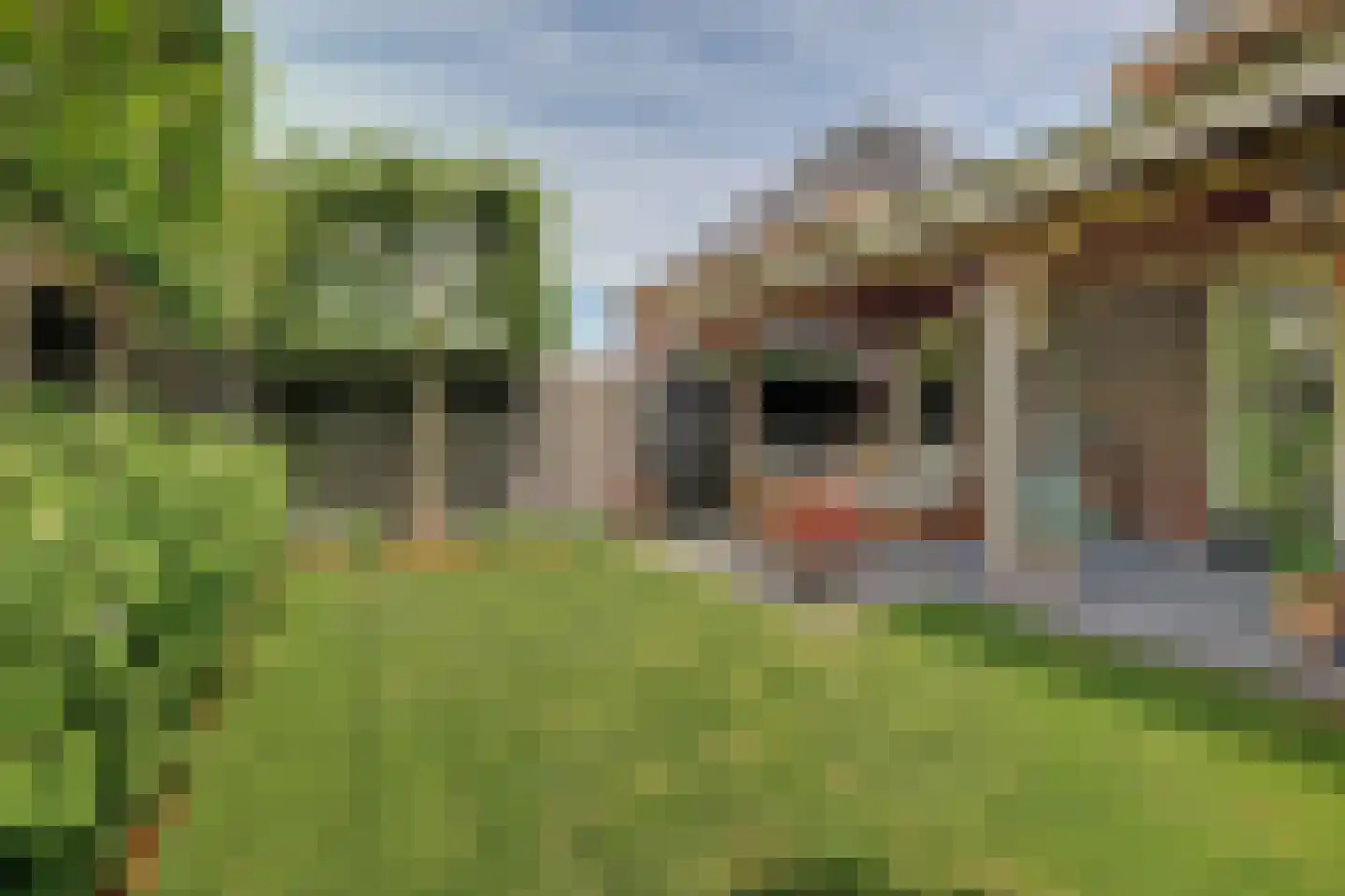 De Zon 41 Tuitjenhorn thumbnail 46