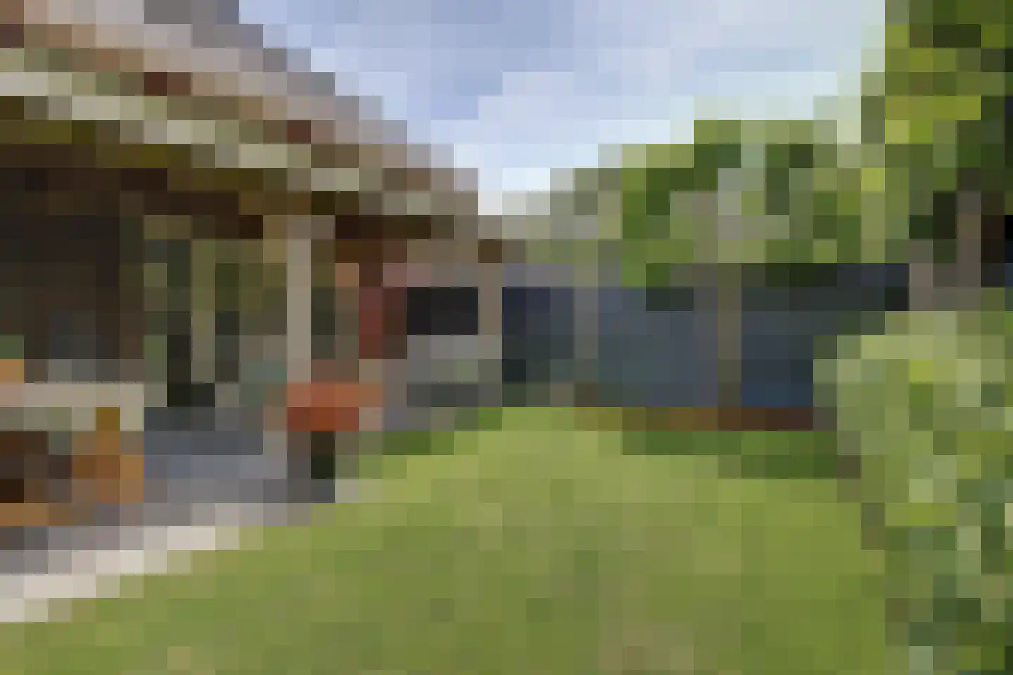 De Zon 41 Tuitjenhorn thumbnail 47