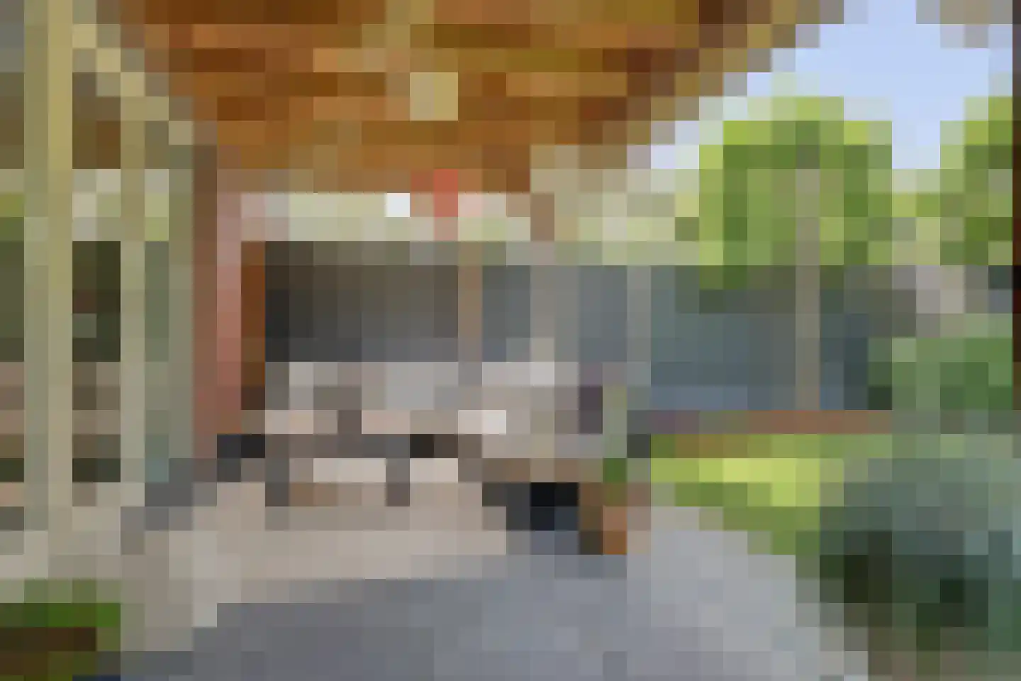 De Zon 41 Tuitjenhorn thumbnail 48