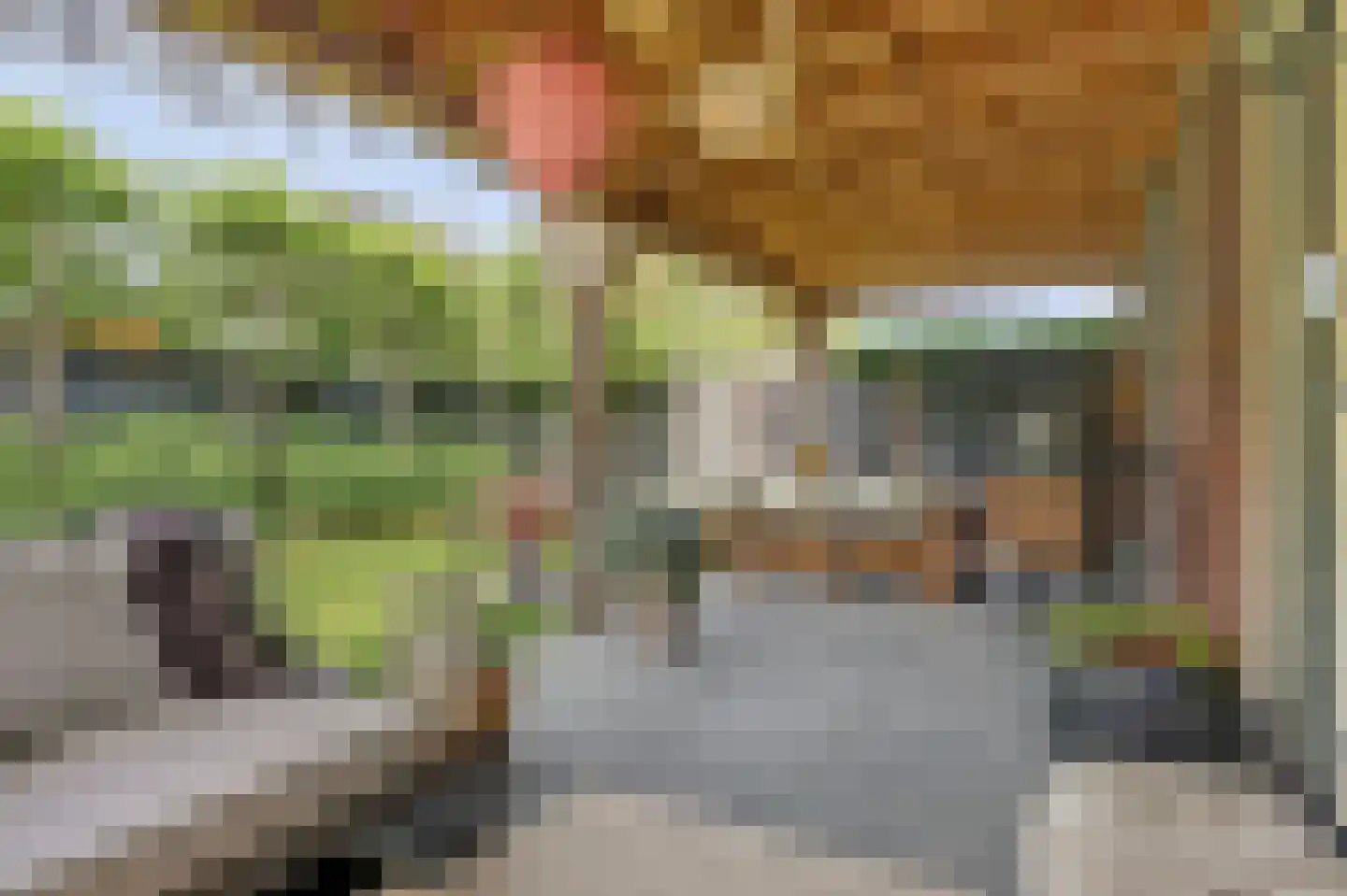 De Zon 41 Tuitjenhorn thumbnail 49