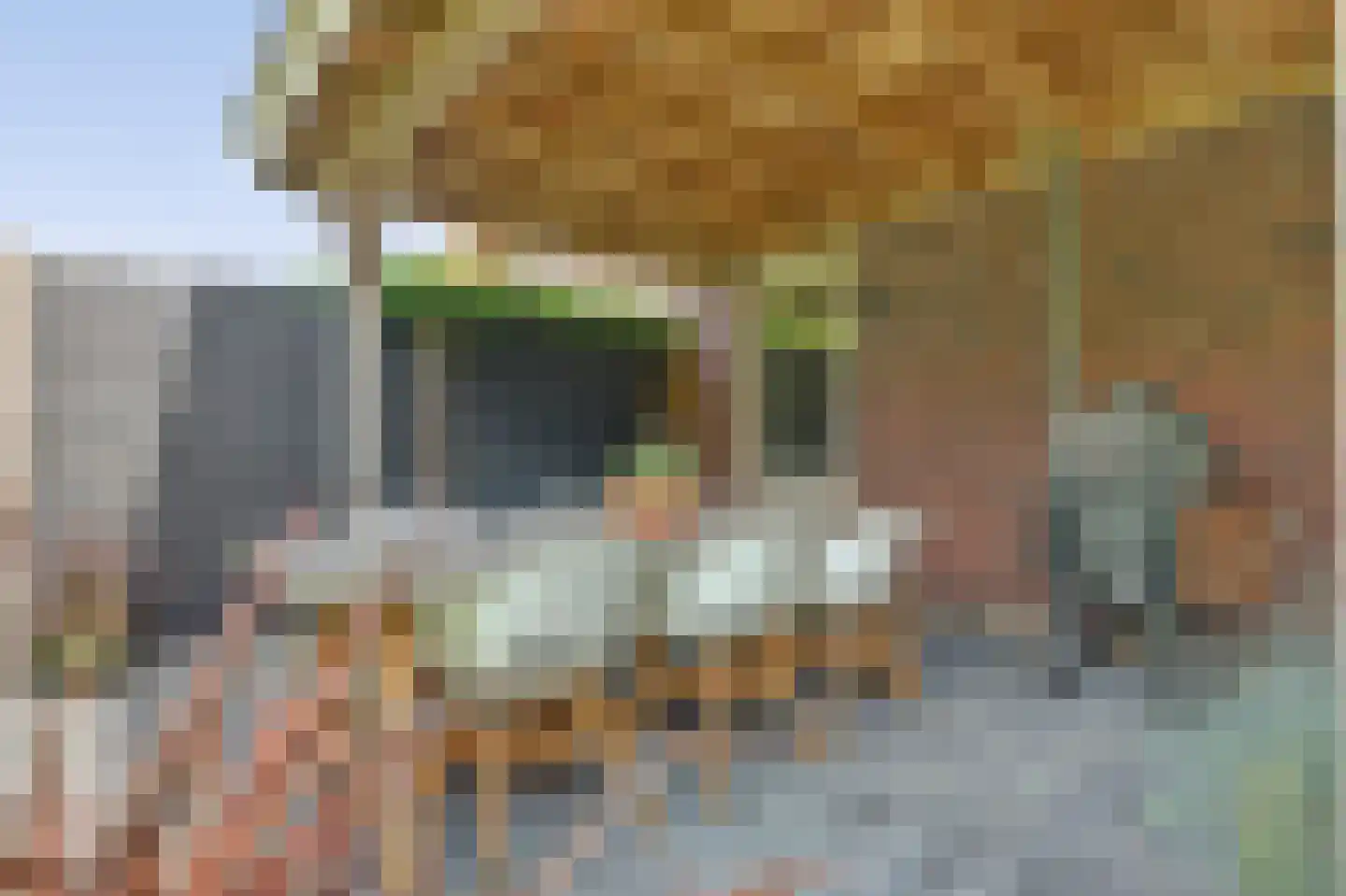 De Zon 41 Tuitjenhorn thumbnail 50