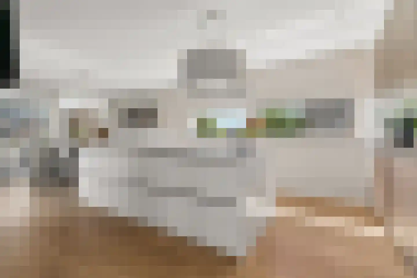 De Zonkade 12 Rosmalen thumbnail 11