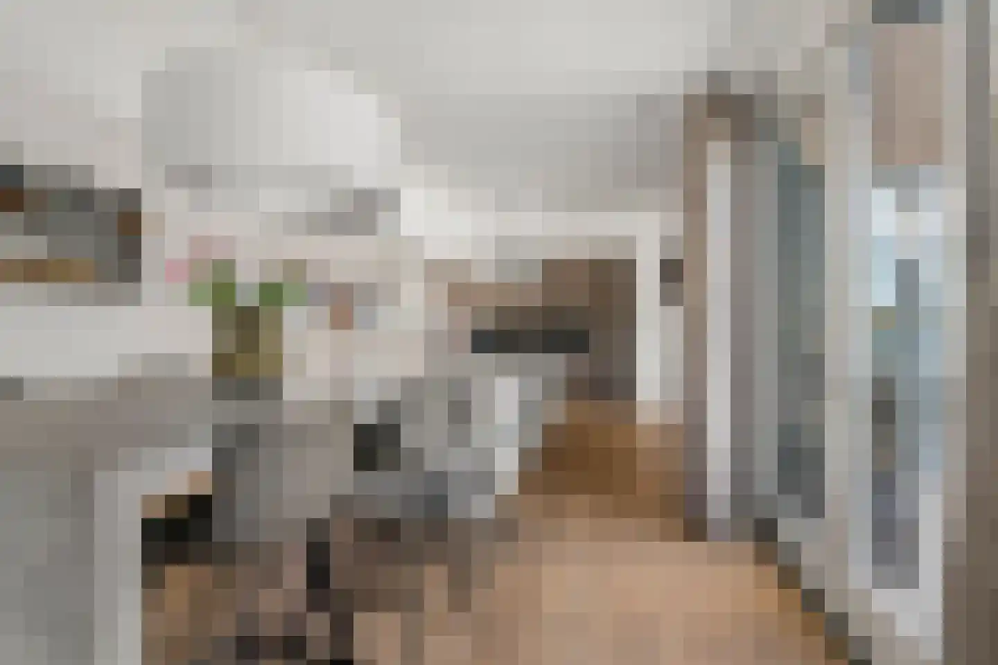 De Zonkade 12 Rosmalen thumbnail 13