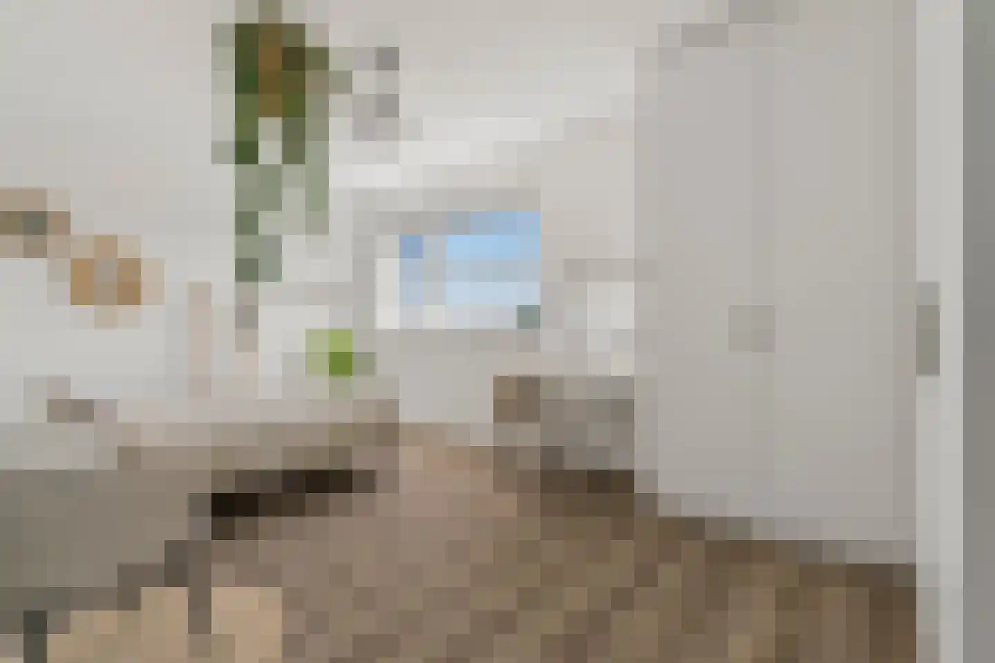 De Zonkade 12 Rosmalen thumbnail 23