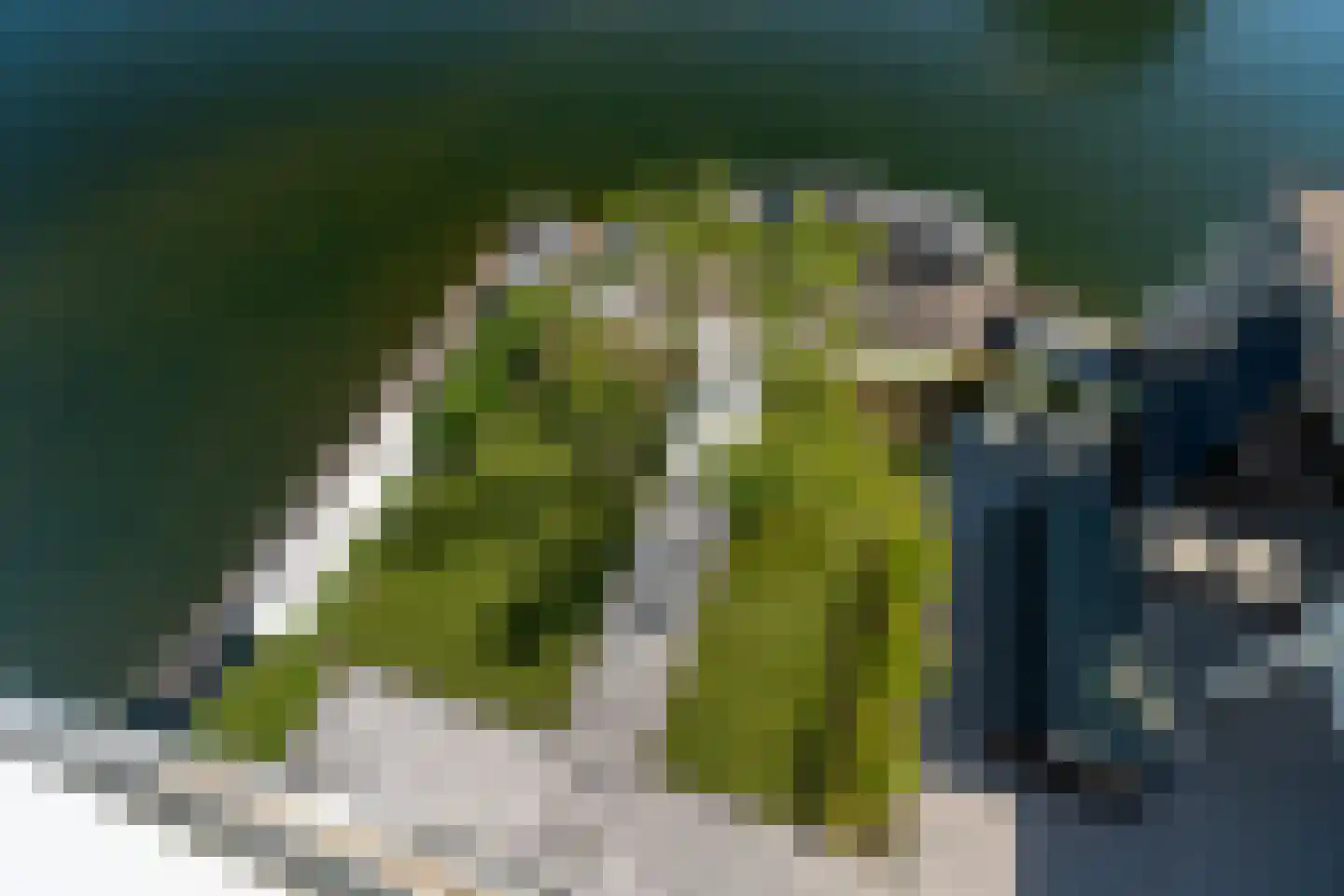 De Zonkade 12 Rosmalen thumbnail 35