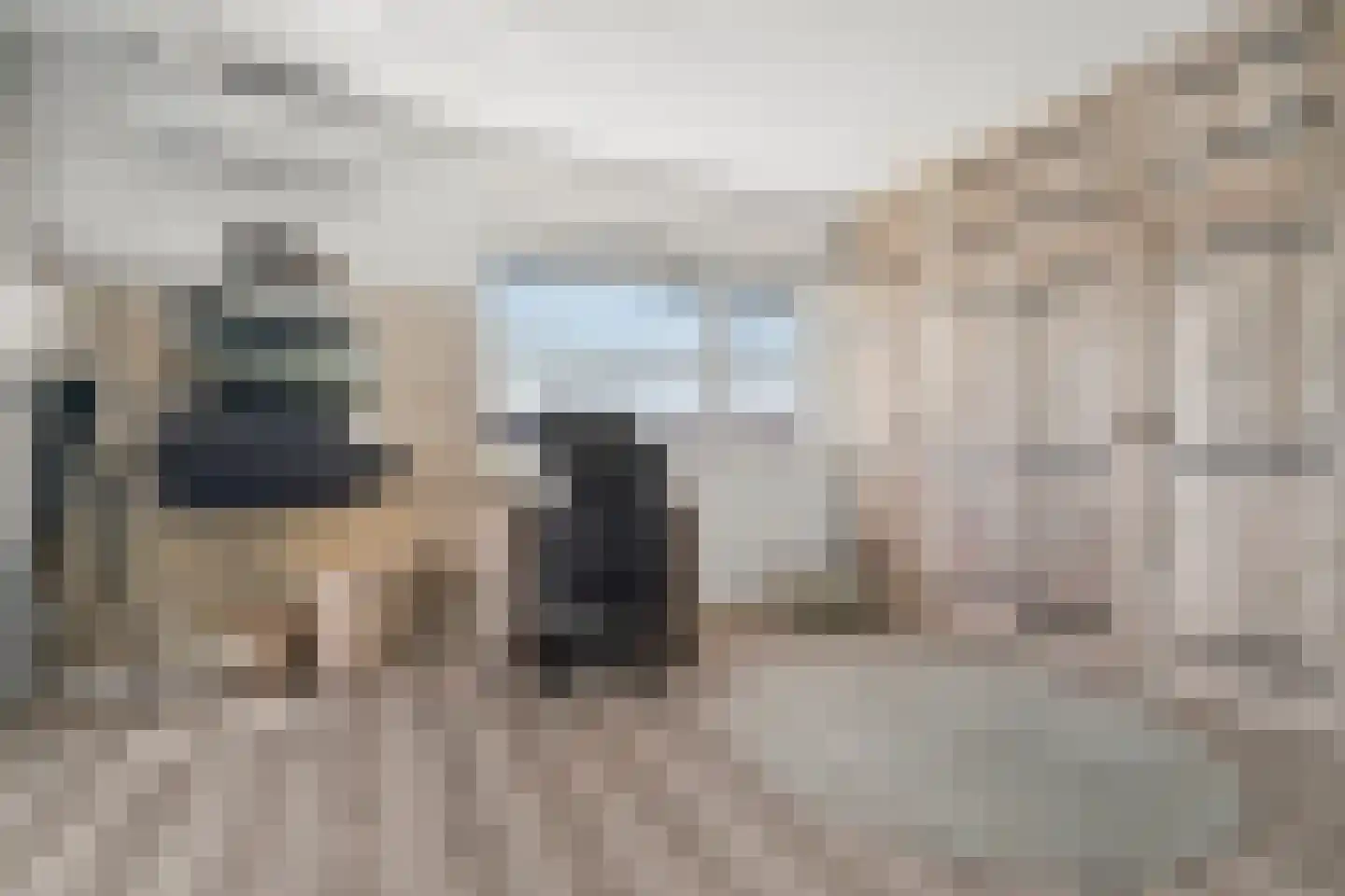 De Zonkade 12 Rosmalen thumbnail 36
