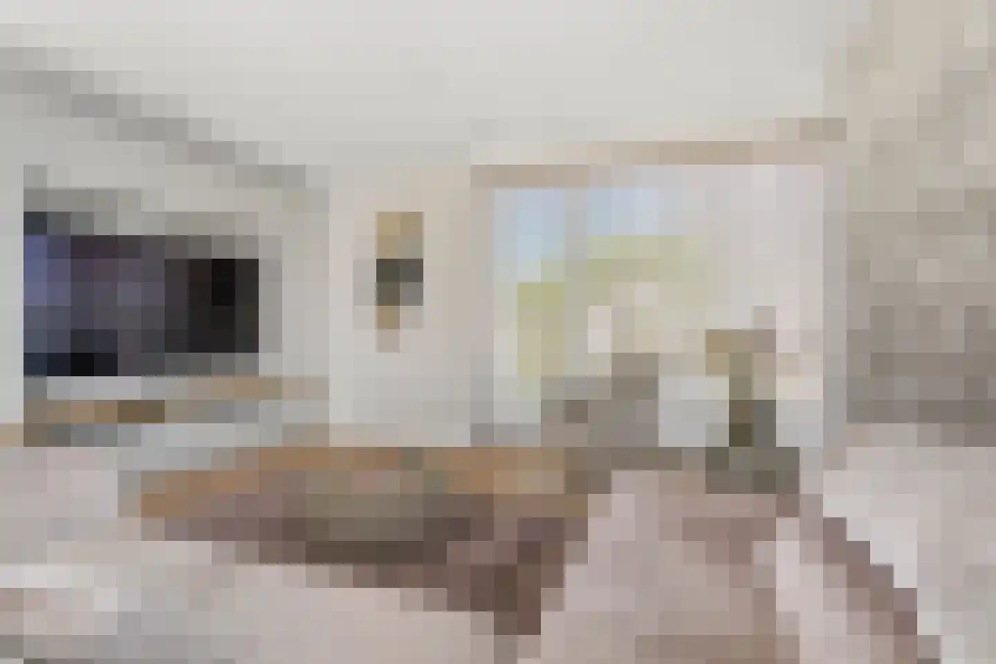 De Zonkade 12 Rosmalen thumbnail 6