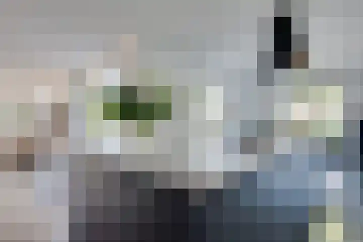 De Zonkade 18 Rosmalen thumbnail 10