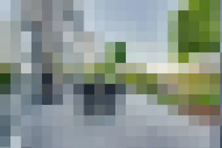 De Zonkade 18 Rosmalen thumbnail 13