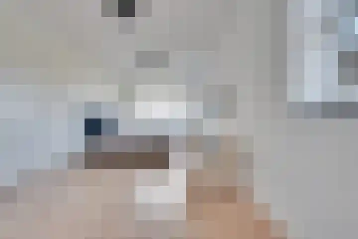 De Zonkade 18 Rosmalen thumbnail 16
