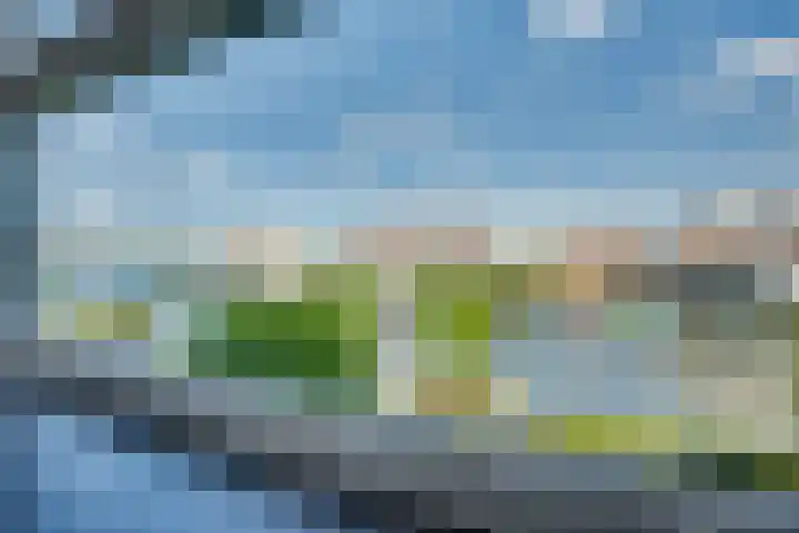 De Zonkade 18 Rosmalen thumbnail 19
