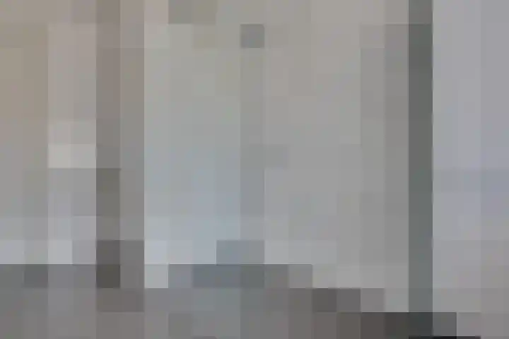 De Zonkade 18 Rosmalen thumbnail 23
