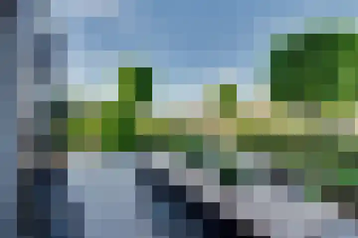 De Zonkade 18 Rosmalen thumbnail 33