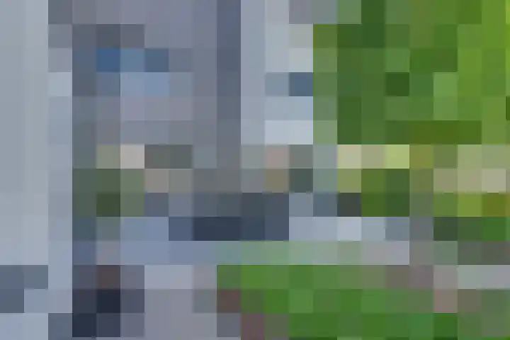 De Zonkade 18 Rosmalen thumbnail 35
