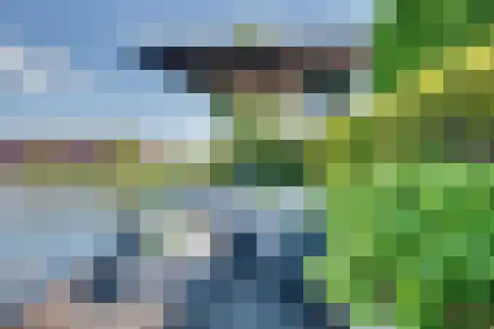 De Zonkade 18 Rosmalen thumbnail 37