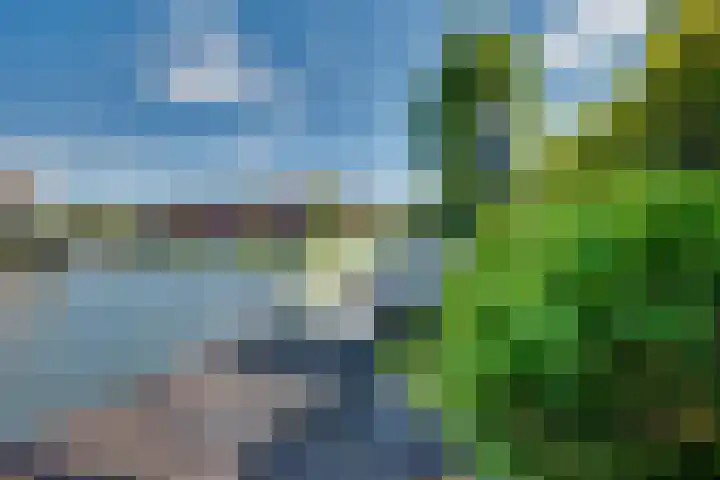 De Zonkade 18 Rosmalen thumbnail 39